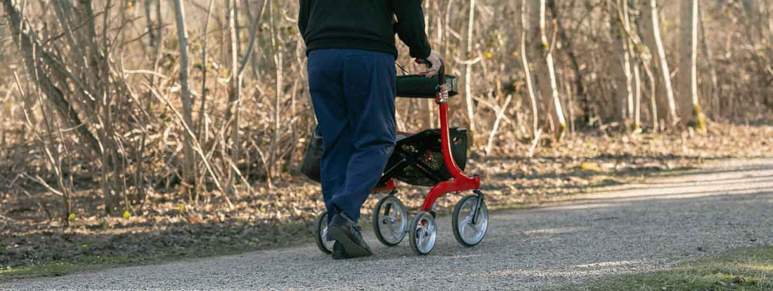 Entretien rollator : les 3 contrôles à faire chaque mois