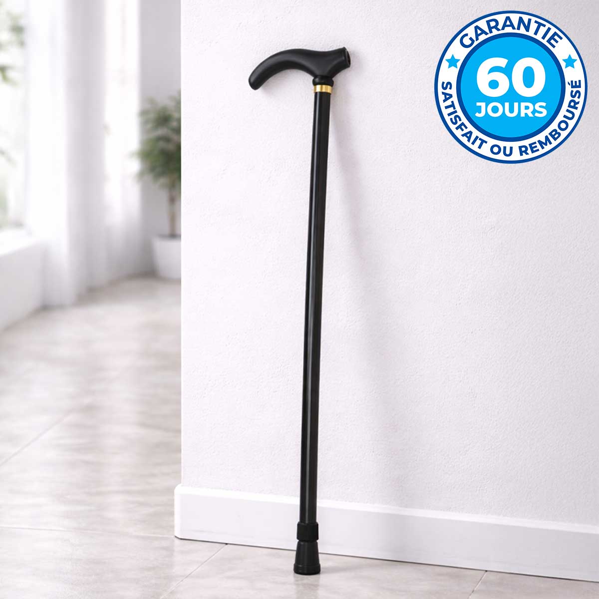 Canne de Marche Légère