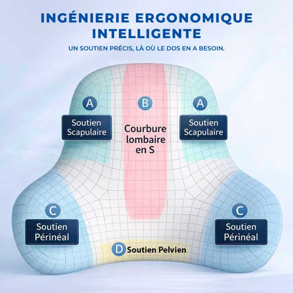 Coussin Lombaire à Mémoire de Forme