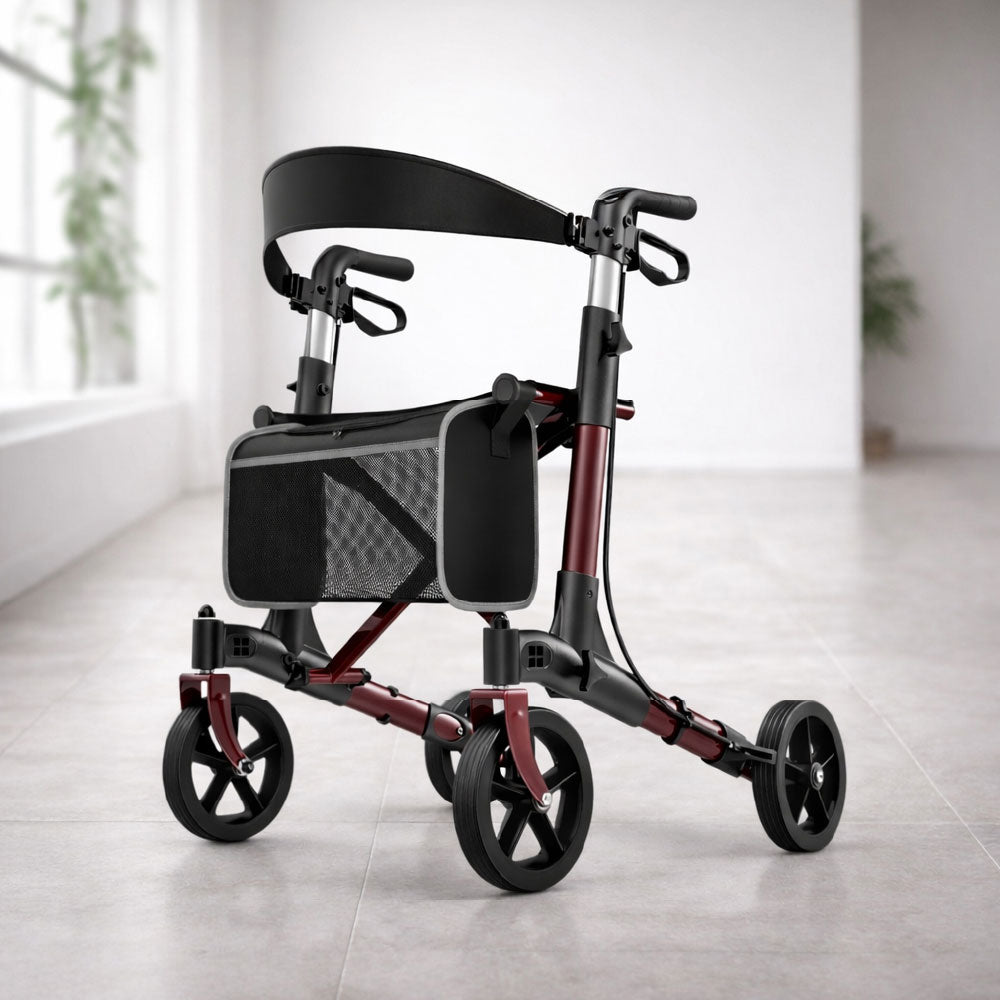 Déambulateur Rollator Luxe Tout-Terrain