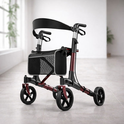 Déambulateur Rollator Luxe Tout-Terrain