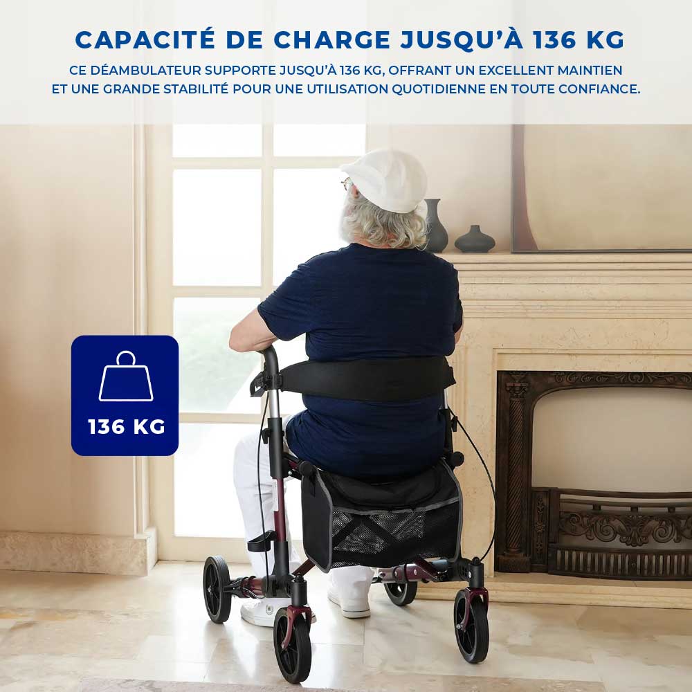 Déambulateur Rollator Luxe Tout-Terrain