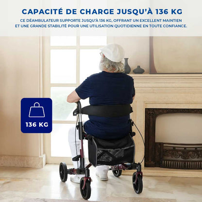 Déambulateur Rollator Luxe Tout-Terrain